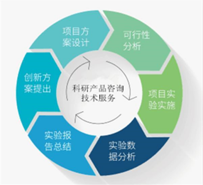 人半乳糖-3-O-磺基轉移酶2 功能、基因與臨床意義探析